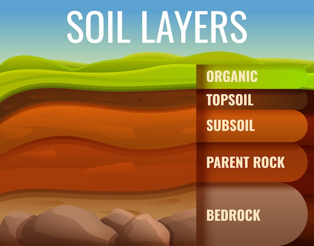 Vector soil ground land infographic, cartoon style