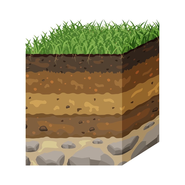 벡터 지표면 지하단면의 단면구조에서 층상토양