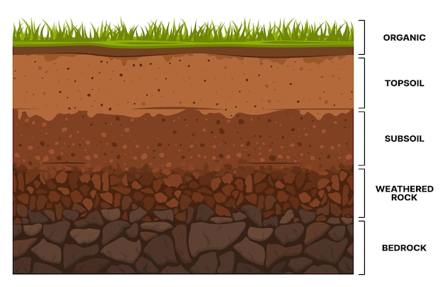 Vector soil layer infographics earth subsoil texture