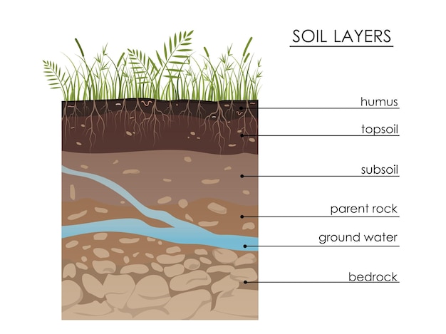 地下水を含む土壌層図 地質学 地下のインフォグラフィック 草の根石 腐植土 砂石 セクションの土地 ミネラル粒子 教育イラスト