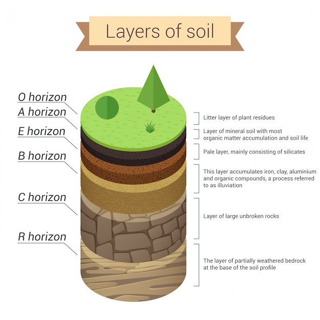 Vector soil layers. soil is a mixture of plant residue and fine mineral particles, which form layers.  diagram.