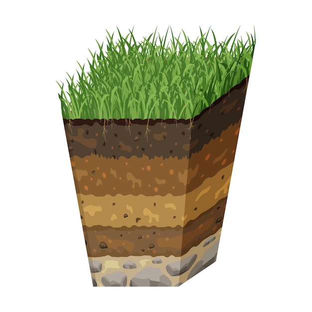 Почва в разрезе объемное изображение структуры земного сектора со слоями чернозема и травы