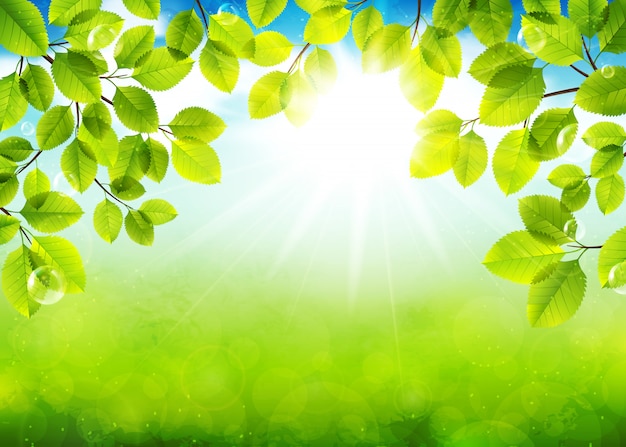 Solar day, leaf background