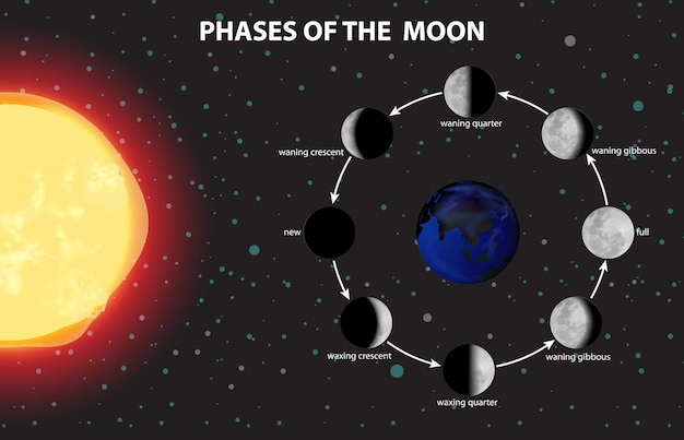 Vector solar system for science education