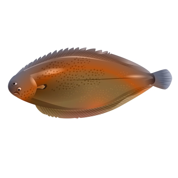 Vector sole fish