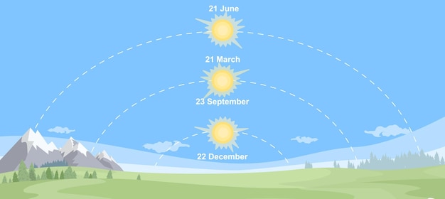 Образовательный плакат с векторной иллюстрацией солнцестояний и равноденствий