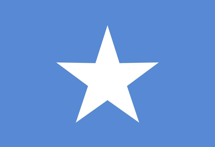Vector somalian flag illustrator country flags