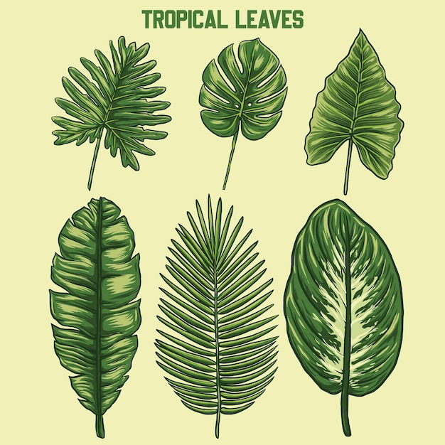 Vector some vector tropical leaft designs