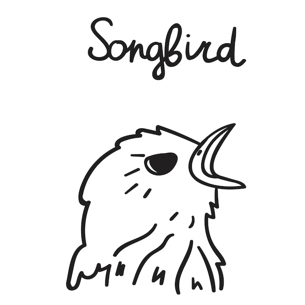 Songbird. Hand drawn vector illustration. Graphic design.