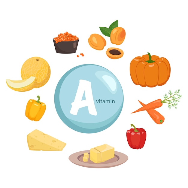 Source of vitamin a. collection of vegetables, fruits and products. diet food. healthy lifestyle. the composition of the food. vector illustration