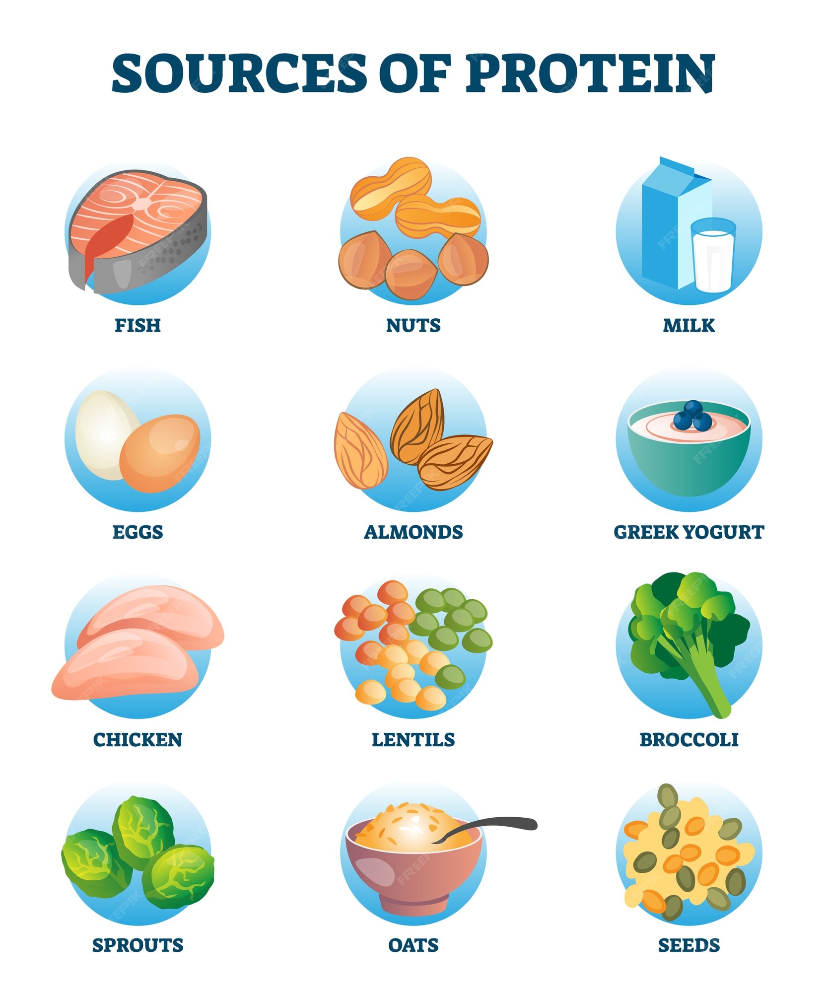 Premium Vector | Sources Of Protein As Healthy And High Nutrient Diet  Products Collection. Essential Meal Ingredient Group In Labeled Educational  List. Meat, Poultry, Fish, Eggs, And Dairy As Important Amino Acids