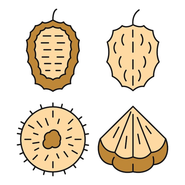 벡터 soursop 아이콘 세트 soursop 터 아이콘의 윤 세트 은 선 색상 색에 평평