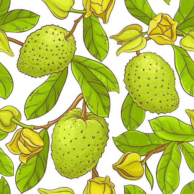 Vector soursop vector pattern