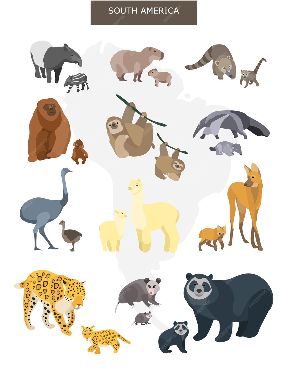 Premium Vector | South american animals mother and baby