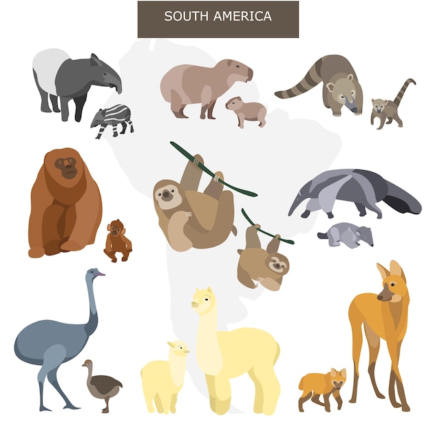 Vector south american animals