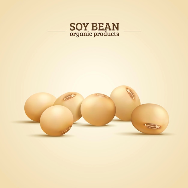 Vector soy bean elements, organic and natural food in 3d illustration