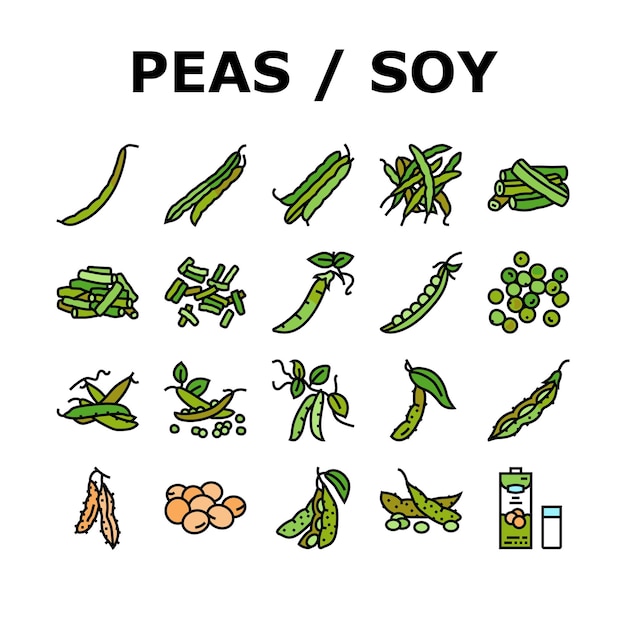 Soy bean food pea green icons set vector