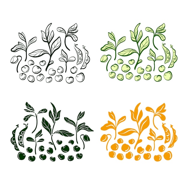 콩 식물 곡물 잎 세트 손으로 그린 그림