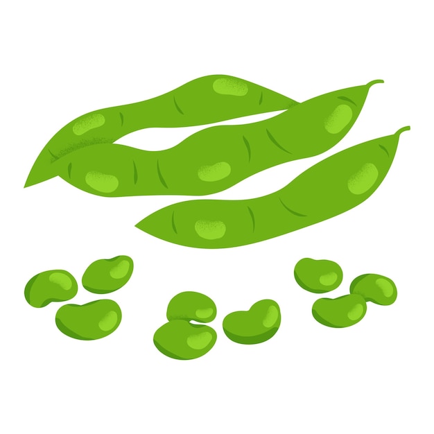 Soy beans edamame pods illustration