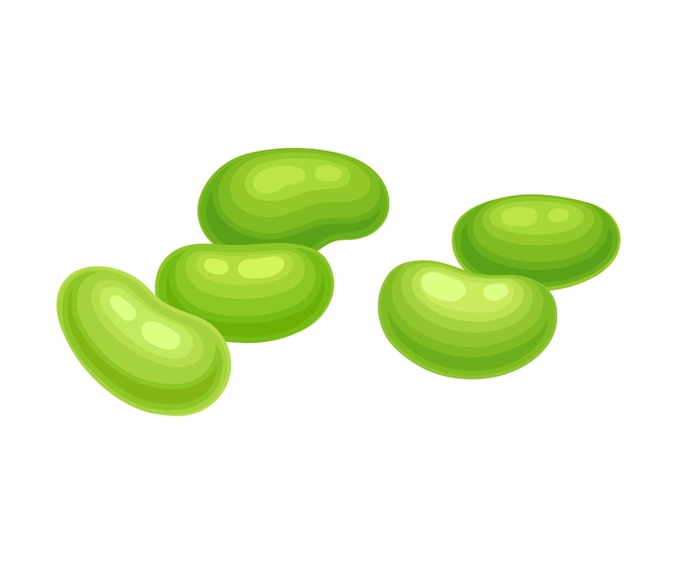 Vector soy beans isolated on white background vector food items