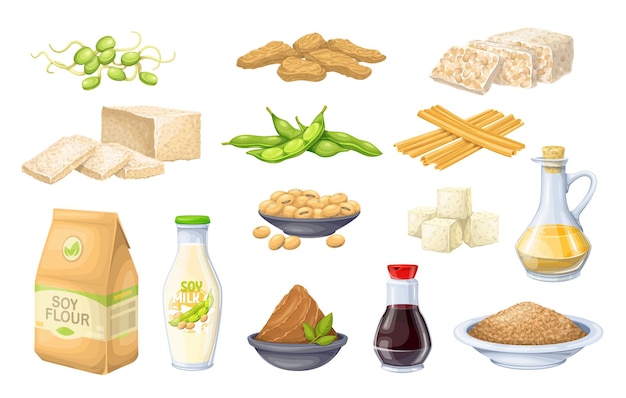 Soy product icon. Soy sprouts, tofu skin, coagulated soy milk, soybean, tempeh, miso, flour and ets.