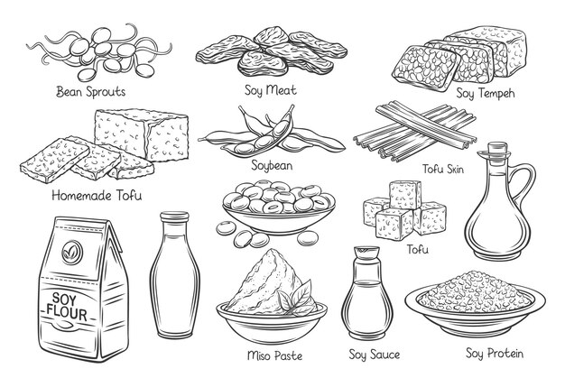 soy product outline vector icons. drawn monochrome soy sprouts, tofu skin, coagulated soy milk, soybean, tempeh, miso, flour and ets.