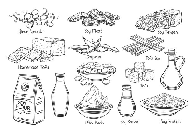 Соевый продукт наброски векторные иконки. Нарисованные монохромные ростки сои, кожица тофу, коагулированное соевое молоко, соя, темпе, мисо, мука и т. Д.