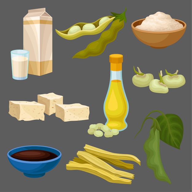 Vettore set di prodotti alimentari di soia, latte, olio, salsa, tofu, fagioli, farina, carne, dieta sana, cibo vegetariano biologico illustrazione