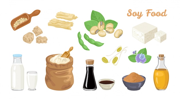 Vector soybean food set.