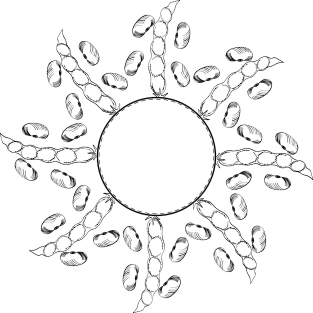 Vector soybean round frame 2