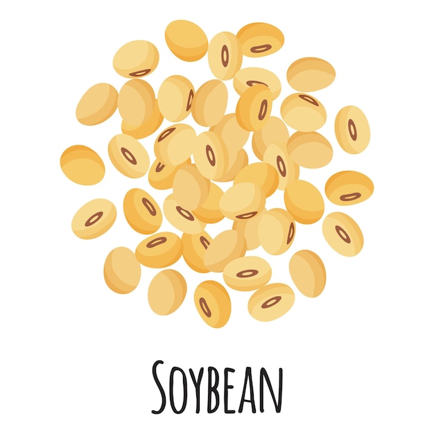 Vector soybean for template farmer market design, label and packing. natural energy protein organic super food. vector cartoon isolated illustration.