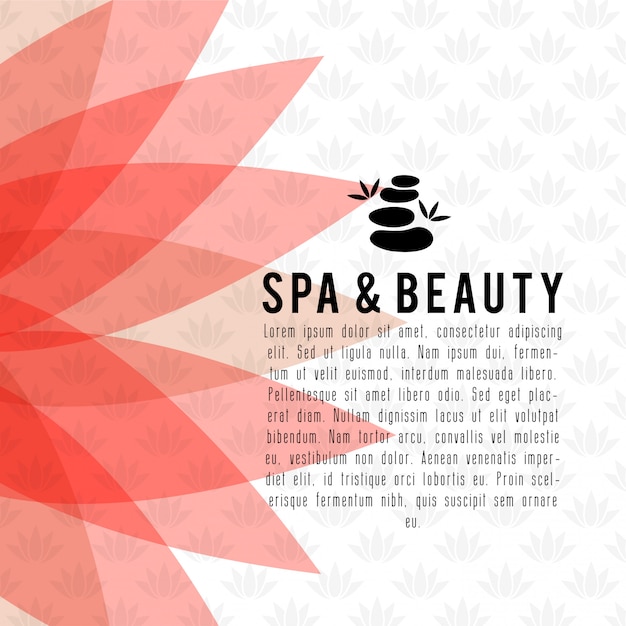 Vector spa and beauty card  with elegent design vector