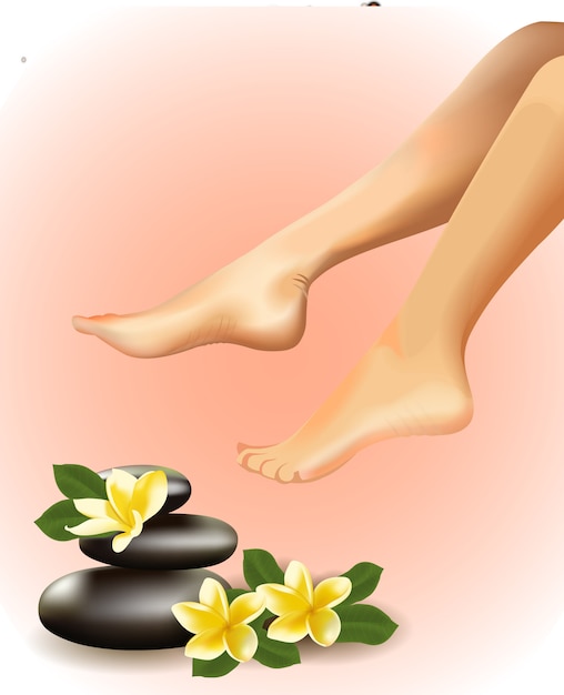 Vector spa-concept met realistische vrouwelijke voeten, frangipani en stenen. illustratie.