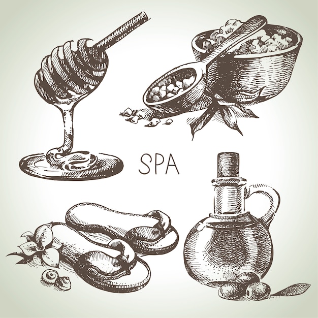 Spa sketch illustration set. Beauty vintage hand drawn illustrations