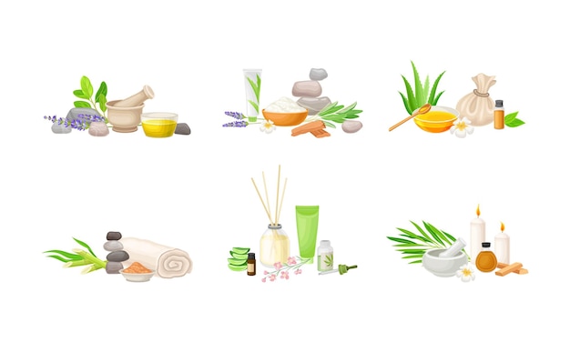 Spa Treatment Composition with Bamboo Essential Oil and Stones for Energy Body Massage Vector Set