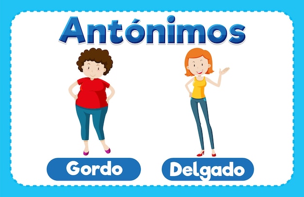 Vector spaans taalonderwijs gordo en delgado fat and slim