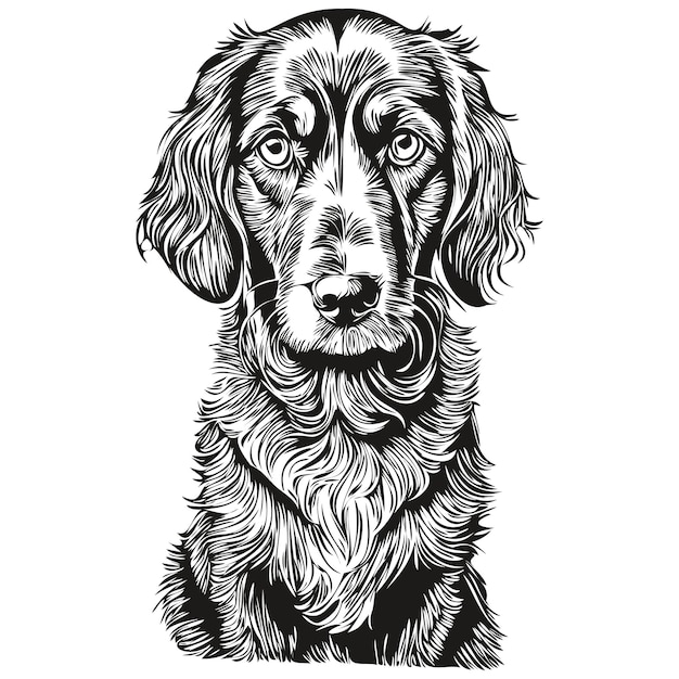 Spaniel English Cocker dog silhouette pet character clip art vector pets drawing black and white