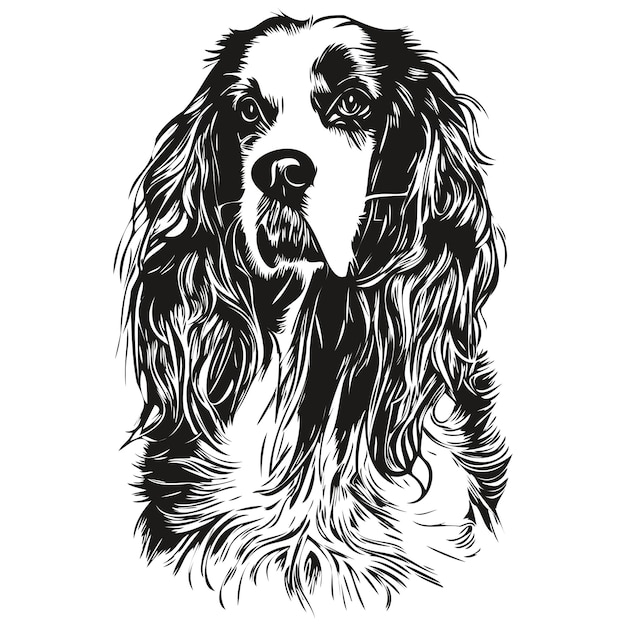 Vector spaniel english springer dog vector illustration hand drawn line art pets logo black and white