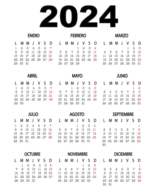 Vector spanish calendar 2024 year