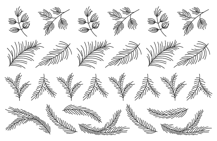 Vector spar tak groenblijvende boom plant zwarte naadloze lijnpatroon set spar dennen lariks ceder winter bos naaldhout vakantie oneindige lijn decoratief plakband frame wenskaart element banner