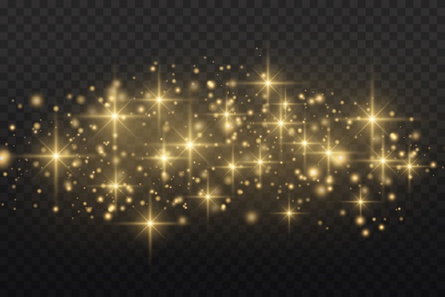 Sparkling golden magic dust particles , sparkle, shine lights, yellow dust sparks and star shine with special light,  sparkle light effect, vector illustration.