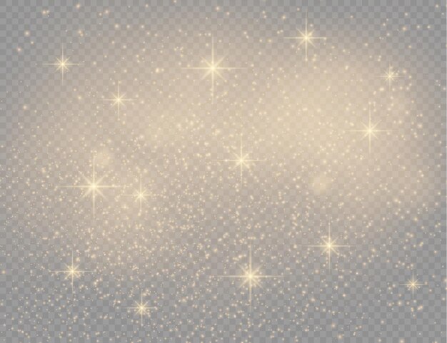 Sparkling golden magic dust particles sparkle shine lights yellow dust sparks and star