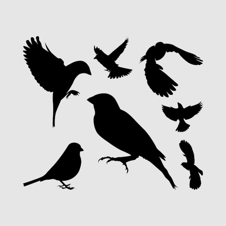 Vector sparrow bird eagle albatros silhouette set logo icon vector design inspiration