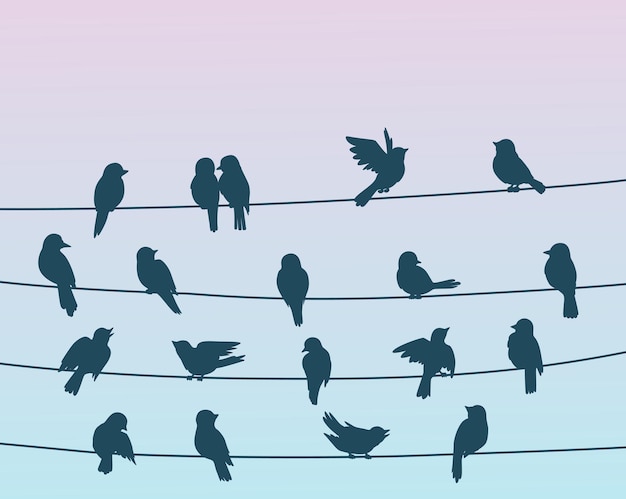 Vector sparrow birds flock on power line wires background