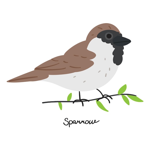 Sparrow on branch. vector illustration.