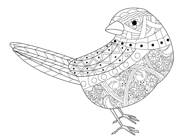 Sparrow coloring book vector for adults