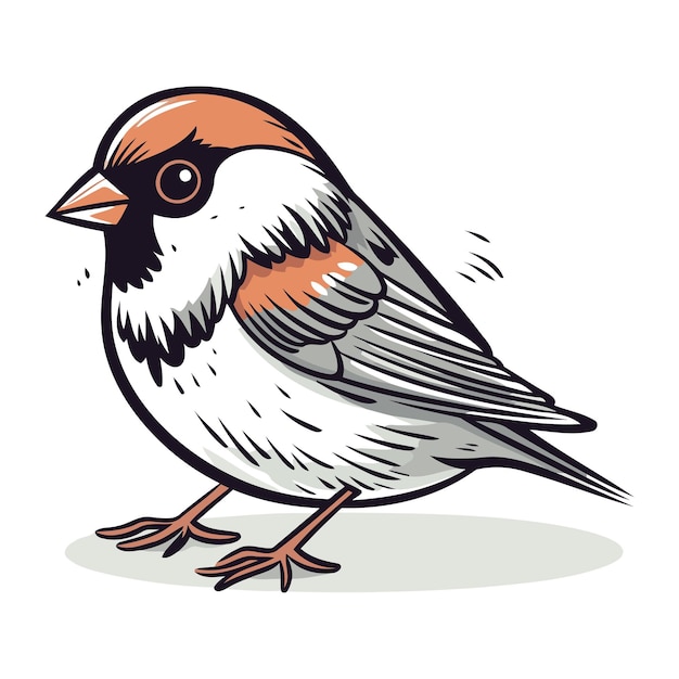 Vector sparrow geïsoleerd op witte achtergrond vector handgetekende illustratie