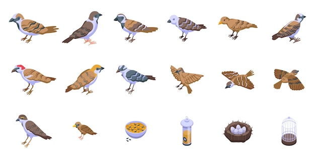 Sparrow icons set isometric vector Fly bird