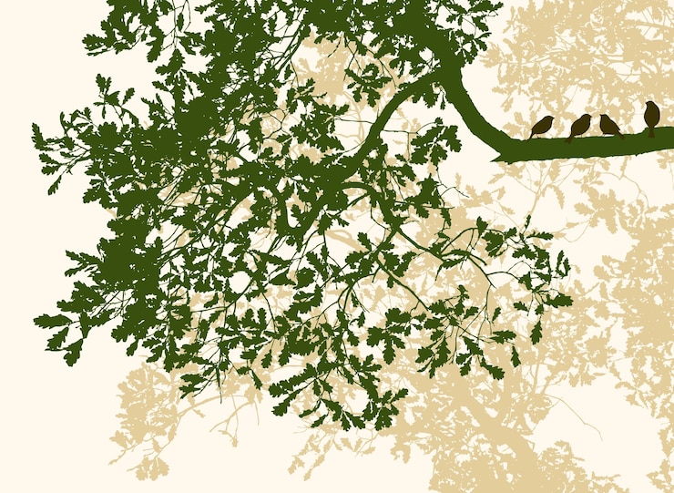 Vector sparrows on an oak branch