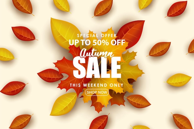 Special autumn sale modern and clean background.